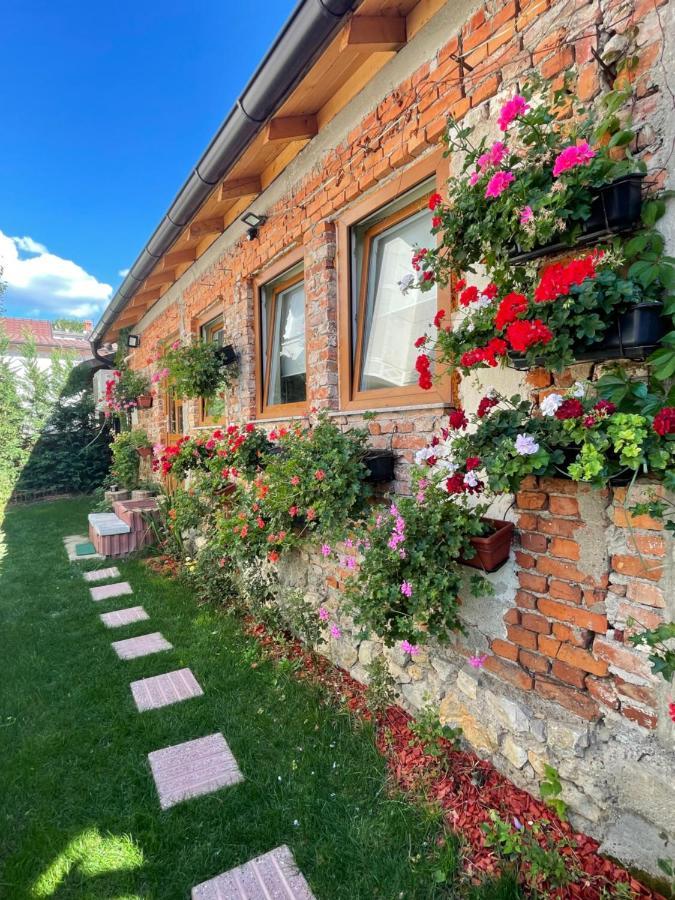 Flower House In The City Center! Pristina Exterior foto