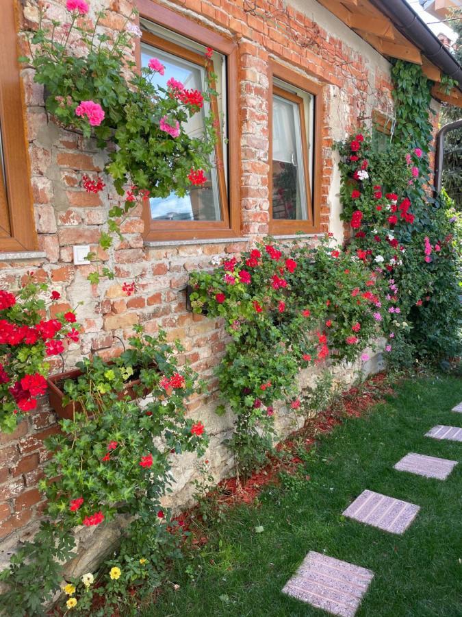 Flower House In The City Center! Pristina Exterior foto